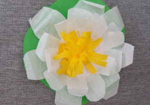 Lilia wodna - praca plastyczna Ksawerego. Na zielonym liściu w kształcie serca znajduje się ułożony z białych, bibułkowych płatków kwiat lilii, jego środek wykonany jest z cienkich, żółtych pasków bibuły.
